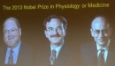 برندگان جایزه نوبل فیزیولوژی و پزشکی معرفی شدند
