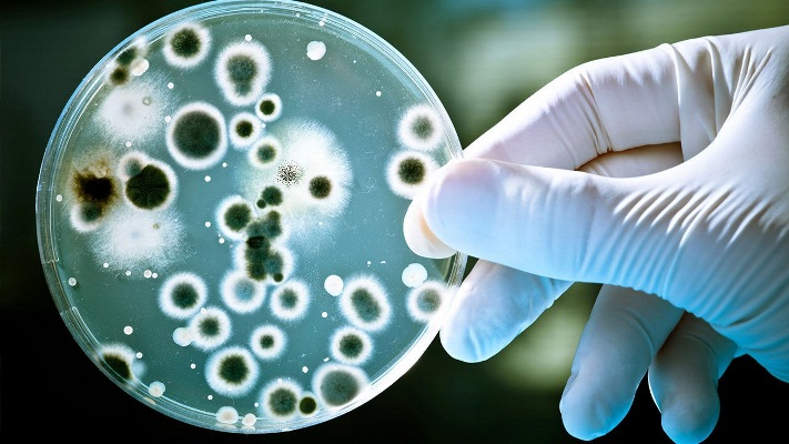 دستاورد جدید محققان کشور برای تشخیص چشمی باکتری‌های بیماری‌زا