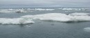 اندازه‌گیری امواج عظیم اقیانوس منجمد شمالی برای نخستین بار