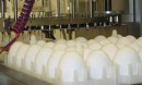 تولید تخم مرغ SPF توسط محققان ایرانی برای بی نیازی از واردات