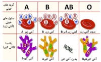 خصوصیات گروه های خونی را بیشتر بدانیم
