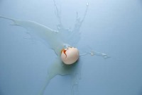 ساخت پلاستیک ضد باکتری با سفیده تخم مرغ