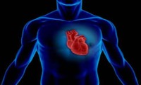 کشف شگفت‌انگیز دانشمندان درباره قلب