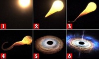مچ‌گیری از یک سیاهچاله هنگام قتل یک ستاره