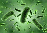 حذف 92 درصد باکتری‌های مقاوم به دارو به کمک نانو فناوری