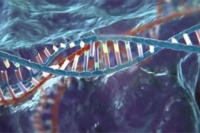 کشف اختلال ایمنی ژنتیکی جدید