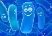 فهرست باکتری‌های مقاوم به آنتی بیوتیک‌ها منتشر شد