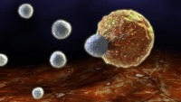 استفاده از نانو ذرات طلا برای حمله به تومورهای سرطانی