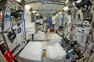 کشف باکتری و قارچ خطرناک در ایستگاه فضایی بین‌المللی