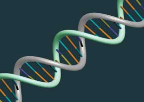 DNA میکروسکوپی، روشی جدید در مطالعه مولکول‌های زیستی
