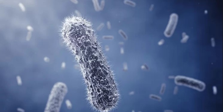 شناسایی نوعی باکتری که برای جلوگیری از شناسایی تغییر شکل میدهد