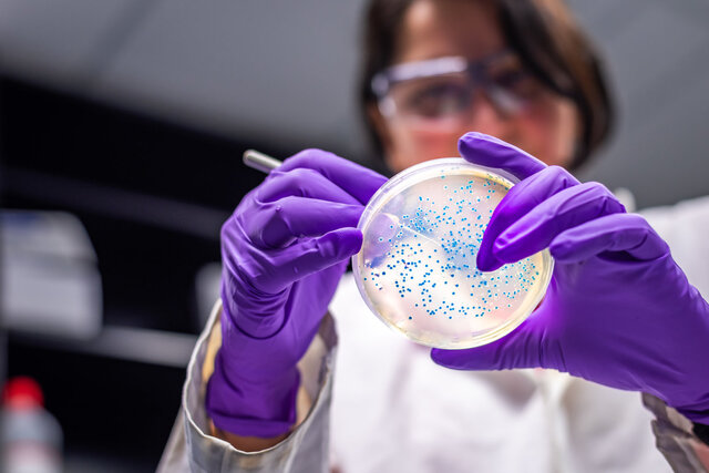 تولید یک سویه باکتری که "کربن‌دی‌اکسید" می‌خورد