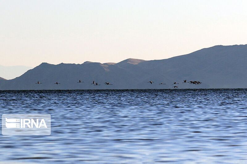 دریاچه ارومیه در آستانه افزایش وسعت تا 3 هزار کیلومترمربع