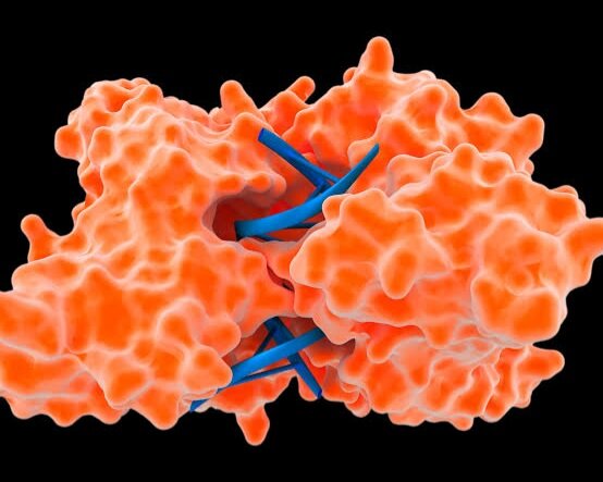 آنزیم‌هایی که ازپوست دربرابرمیکروب‌هاوویروس‌ها محافظت می‌کنند