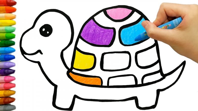 آموزش نقاشی برای کودکان (آموزش مرحله به مرحله نقاشی لاک پشت)