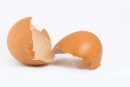 ساخت سرامیک با استفاده از پوست تخم مرغ