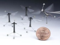ساخت ربات حشره مجهز به رادار لیزری