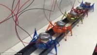 ربات‌های مورچه ای با قابلیت جابجایی خودرو
