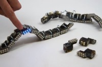 ساخت رباتی شبیه کرم شب‌تاب/ امکان ردیابی حسی