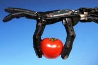 تشخیص گوجه فرنگی رسیده در دنیای ربات‌ها