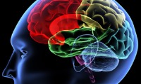 اختلال در ترشح مایع مغزی منجر به بزرگی سر می‌شود