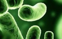 بررسی جدید:شناسایی افراد از روی میکروبهای شخصی شان