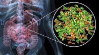 یافته‌های دانشمندان: باکتری‌های روده با چاقی مبارزه می‌کنند