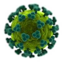 حذف ژن اچ‌آی‌وی از بدن حیوان زنده برای نخستین بار