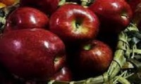 پیشگیری از پوکی استخوان با سیب گلاب