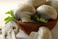 با خوردن روزانه 200 گرم قارچ پوکی استخوان را فراموش کنید