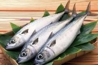 مصرف ماهی شنوایی زنان را تقویت می‌کند