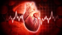 یک ژن کلیدی در تشکیل دریچه‌های قلبی شناسایی شد !