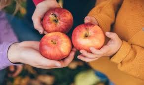 اگر روزی یک سیب بخوریم چه اتفاقی در بدن ما می‌افتد؟