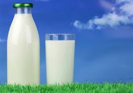 کدام نوع شیر برای شما بهتر است؛ کم چرب یا پرچرب؟
