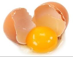 کدام قسمت تخم مرغ پروتئین بیشتری دارد؟ سفیده یا زرده؟