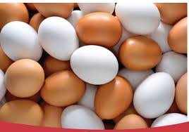 آیا تخم مرغ باید شسته شود؟