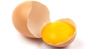 تخم مرغ مفید است یا مضر؟