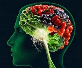 چه مواد غذایی حافظه را تقویت یا تضعیف می‌کنند