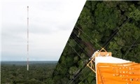 برج هواشناسی بزرگترین جنگل جهان
