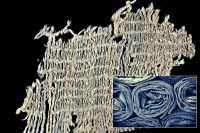رنگ شلوار جین سابقه 6200 ساله پیدا کرد