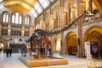 در تور مجازی موزه تاریخ طبیعی لندن و گوگل، فسیل‌ها زنده شدند