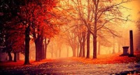 برگ ریزان هزار رنگ