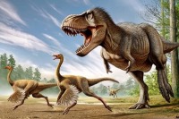 پرهای رنگی 130 میلیون ساله دایناسورها + تصاویر