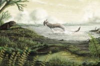 فسیل‌های اسکاتلندی تاریخ حیات زمین را بیان می‌کنند + تصاویر