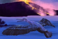 کشف فسیل پرنده 90 میلیون ساله؛کلید پیش‌بینی آینده زمین +تصاویر
