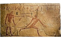 بابون، حیوان هوشمند مصریان باستان + تصاویر