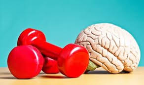 ورزشی که مغز را جوان نگه می‌دارد