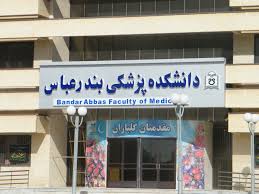 یادگار ماندگار:قبولی‌های کانونی دانشگاه بندرعباس درسال 1401