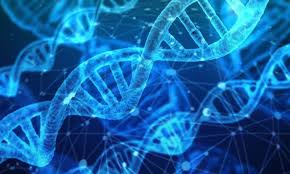 ژنتیک جمعیت - نظام قدیم تجربی