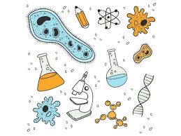 زیست شناسی - آزمونک 19فروردین - درسنامه رتبه‌های برتر